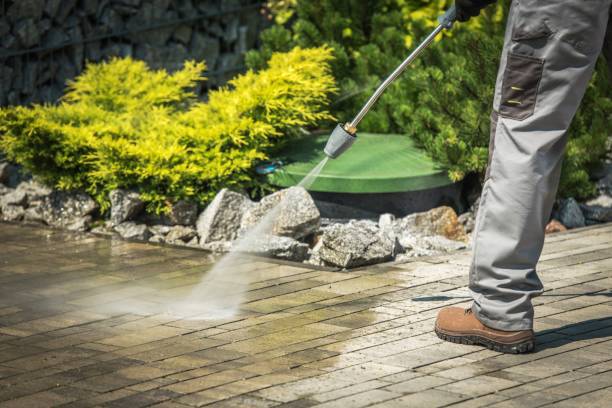 Animal Enclosure Cleaning in Gilbertsville, PA